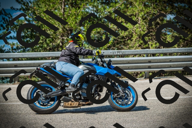 202507191017-DSC02736_c1_