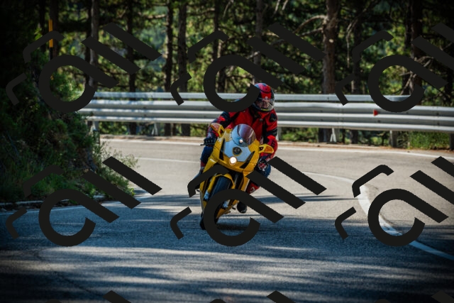 202507191019-DSC02738_c1_