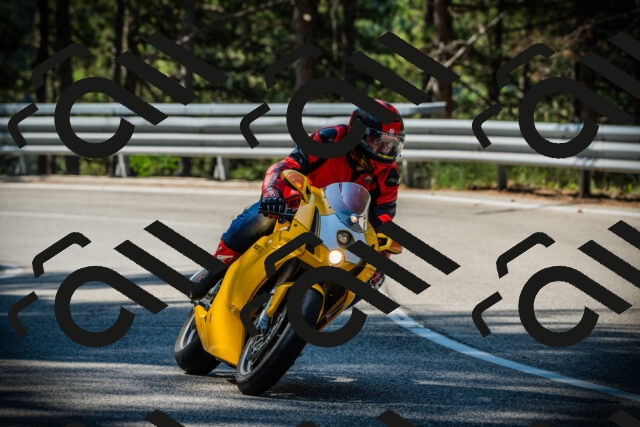 202507191019-DSC02739_c1_