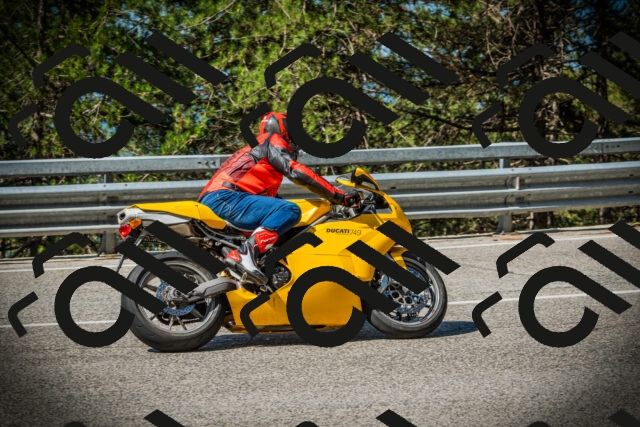 202507191019-DSC02741_c1_