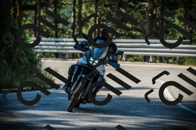 202507191019-DSC02743_c1_