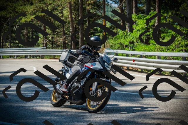 202507191019-DSC02744_c1_