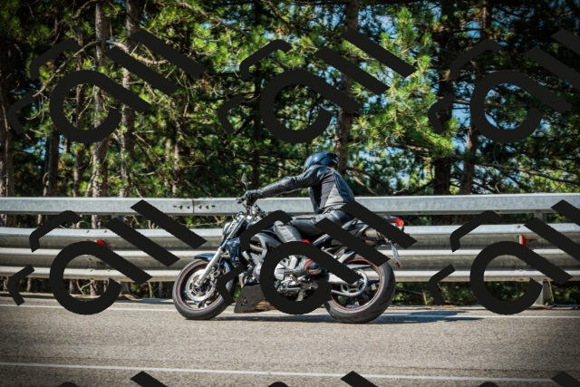 202507191020-DSC02751_c1_