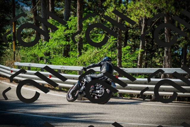 202507191020-DSC02752_c1_