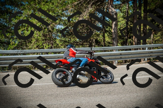 202507191022-DSC02763_c1_