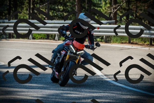 202507191023-DSC02770_c1_