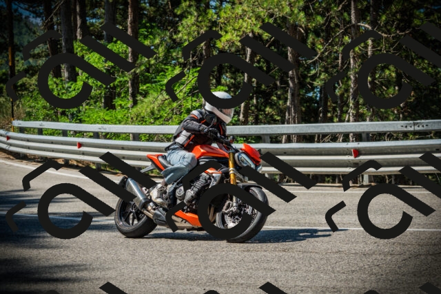 202507191023-DSC02771_c1_