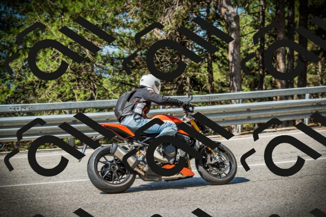 202507191023-DSC02773_c1_