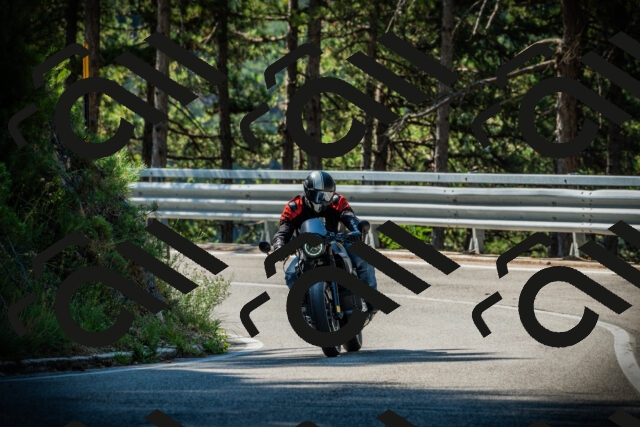 202507191024-DSC02774_c1_