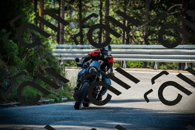 202507191024-DSC02775_c1_