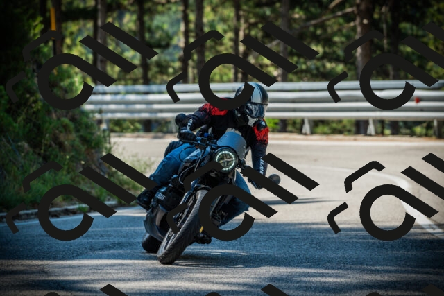 202507191024-DSC02776_c1_