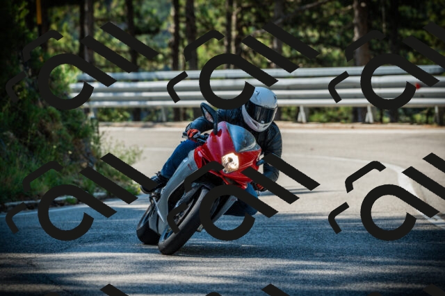 202507191024-DSC02781_c1_