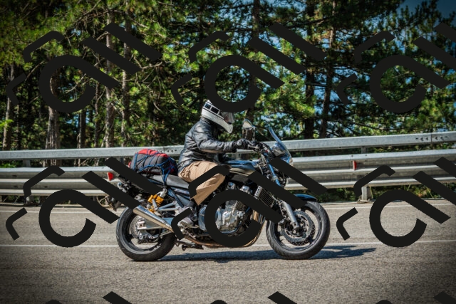 202507191027-DSC02788_c1_