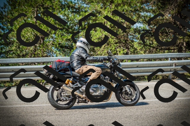 202507191027-DSC02789_c1_