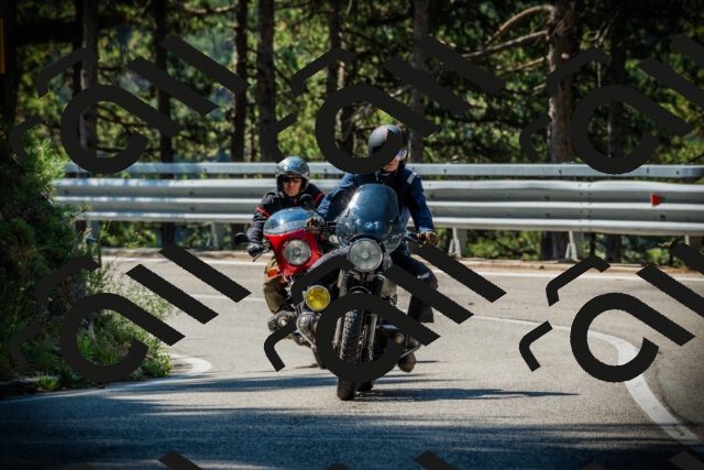 202507191027-DSC02792_c1_