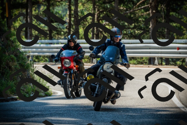 202507191027-DSC02793_c1_