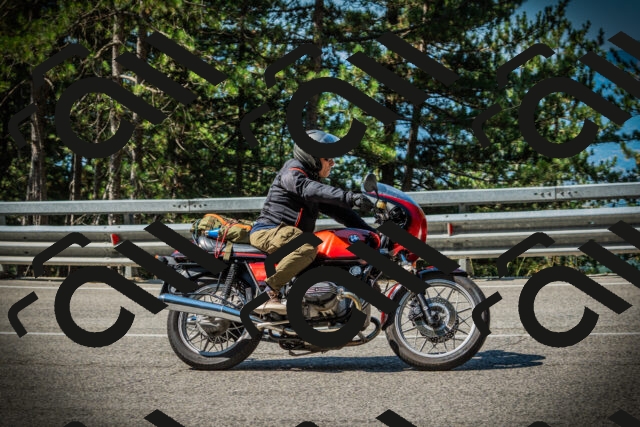 202507191027-DSC02796_c1_