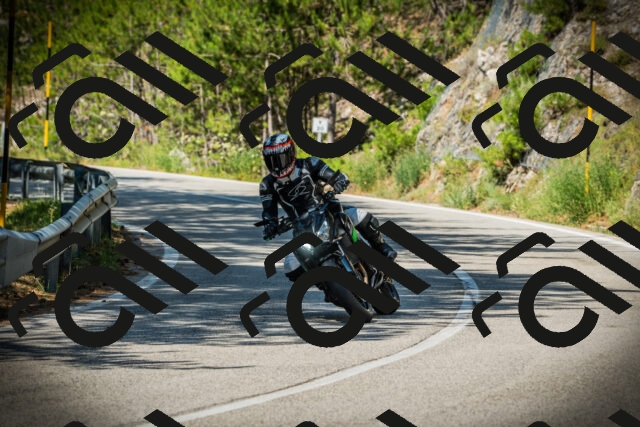 202507191028-DSC02804_c1_