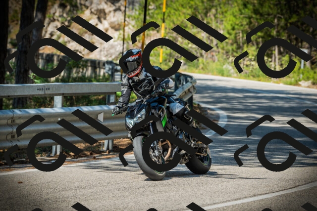 202507191028-DSC02805_c1_