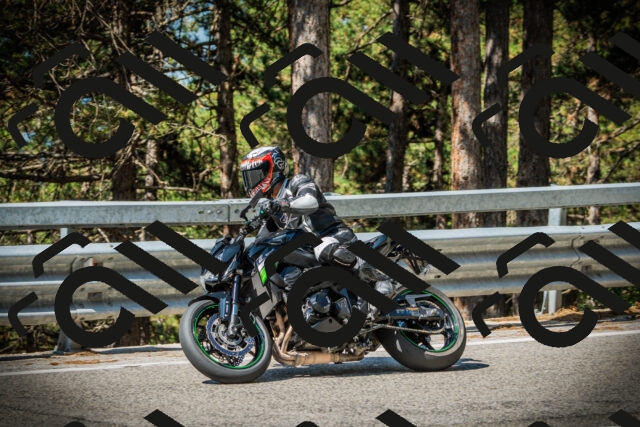 202507191028-DSC02806_c1_