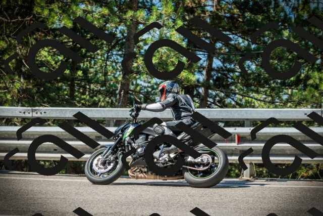 202507191028-DSC02807_c1_