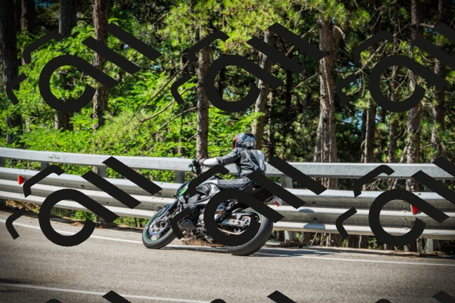 202507191028-DSC02808_c1_