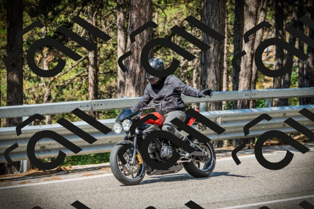 202507191028-DSC02809_c1_