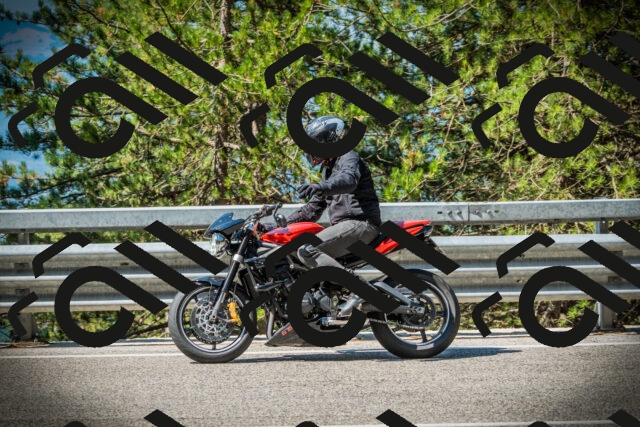 202507191028-DSC02811_c1_