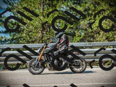 202507191028-DSC02812_c1_