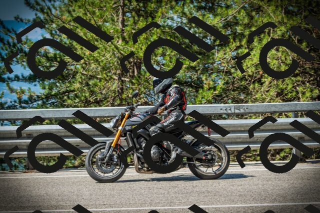 202507191028-DSC02812_c1_