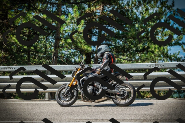 202507191029-DSC02813_c1_