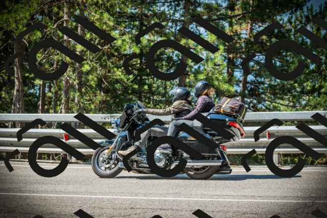 202507191029-DSC02817_c1_