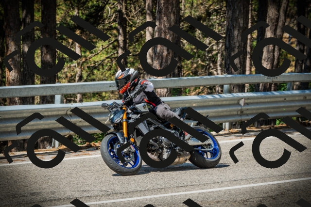 202507191029-DSC02820_c1_