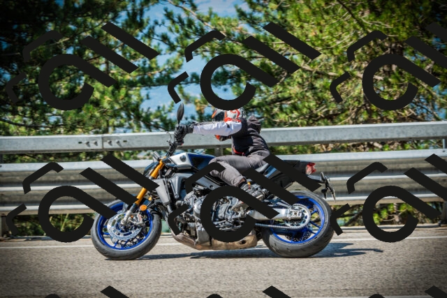 202507191029-DSC02821_c1_