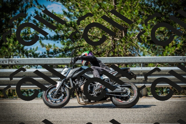 202507191029-DSC02824_c1_