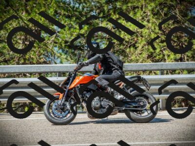 202507191029-DSC02830_c1_