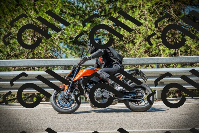 202507191029-DSC02830_c1_