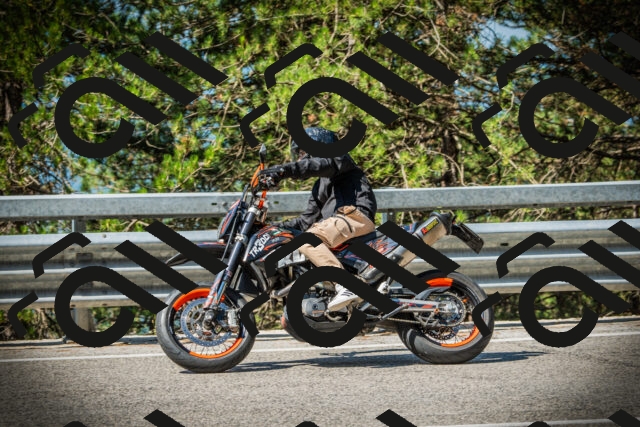 202507191029-DSC02832_c1_