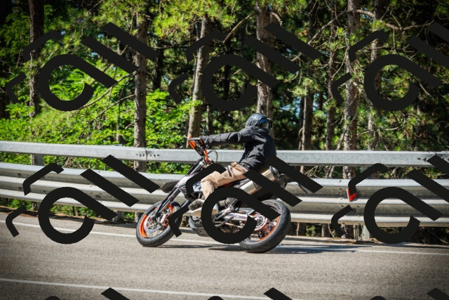 202507191029-DSC02833_c1_