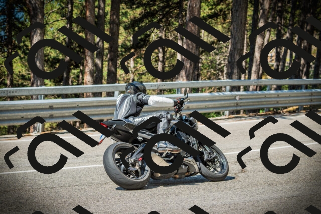 202507191029-DSC02845_c1_