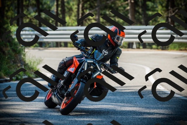 202507191029-DSC02846_c1_