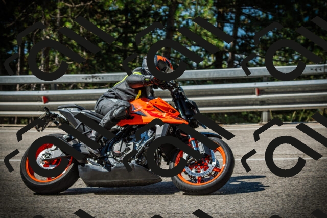 202507191030-DSC02847_c1_