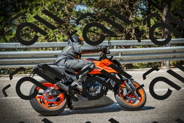 202507191030-DSC02848_c1_