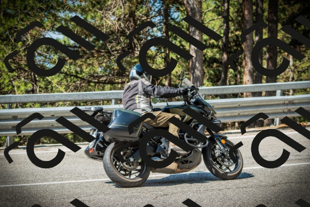 202507191031-DSC02859_c1_