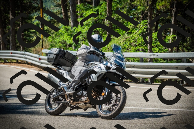 202507191031-DSC02861_c1_