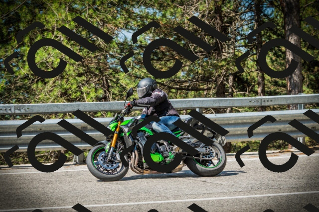 202507191031-DSC02866_c1_