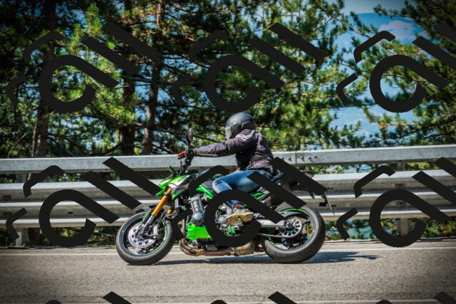 202507191031-DSC02867_c1_