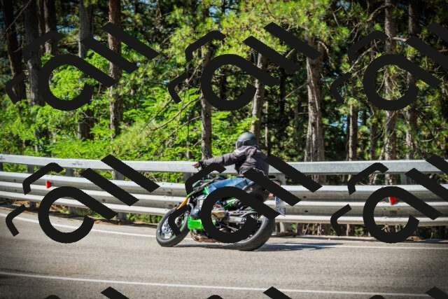 202507191031-DSC02868_c1_