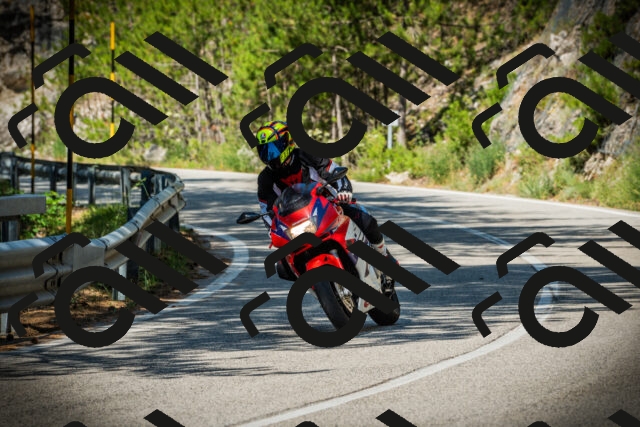 202507191033-DSC02869_c1_