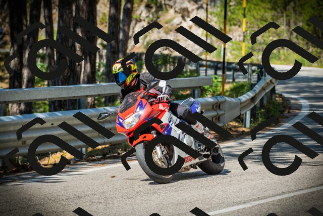 202507191033-DSC02870_c1_